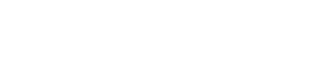 METAMOR-FORCE